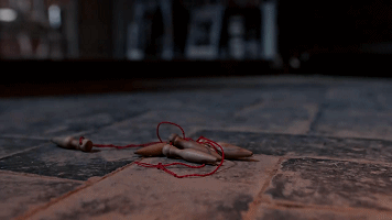 不红是电视剧《白鹿原》的宿命