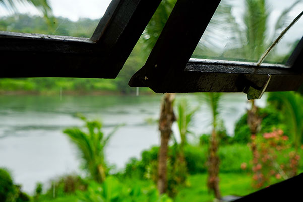 在诗和远方主宰的斐济，我们靠吃什么度日？