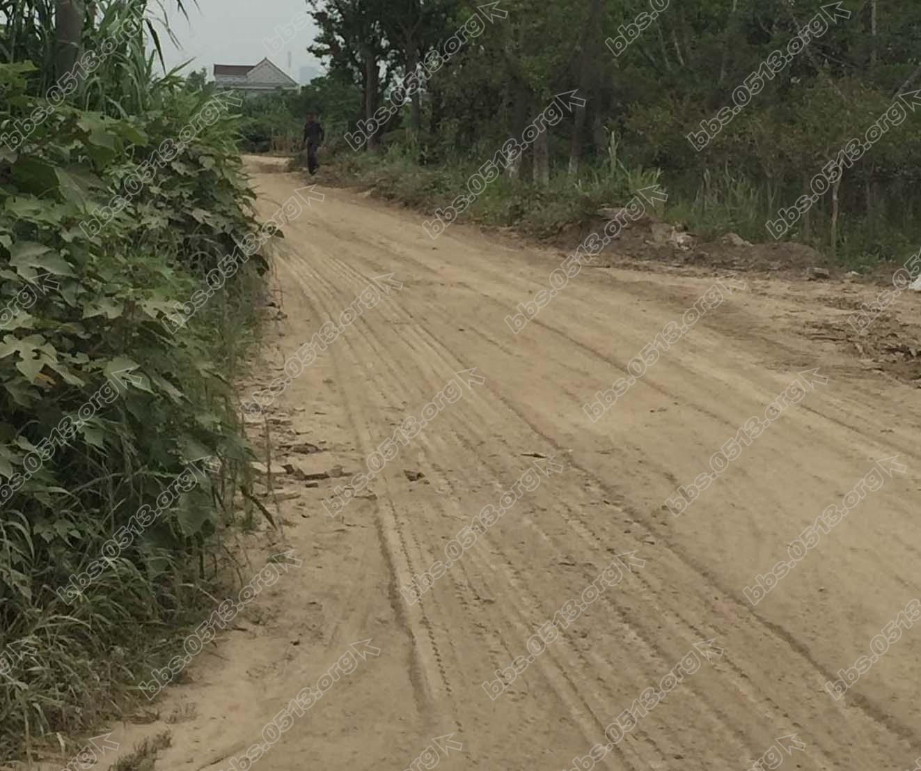 晴天时的唯一出路（1）