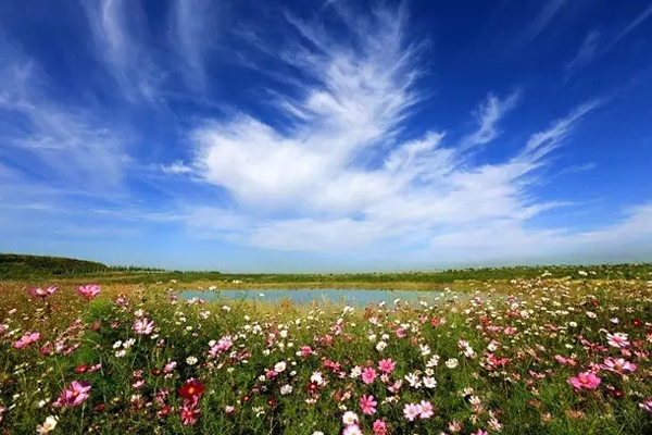 科普︱露天煤矿开采煤炭后，是如何变身良田的