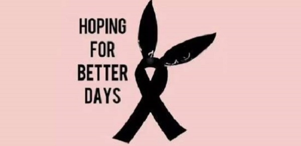 晚安｜愿世界和平，愿安心吃瓜