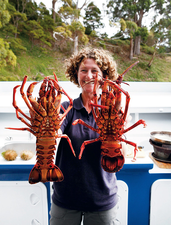 霍巴特食指大动时分