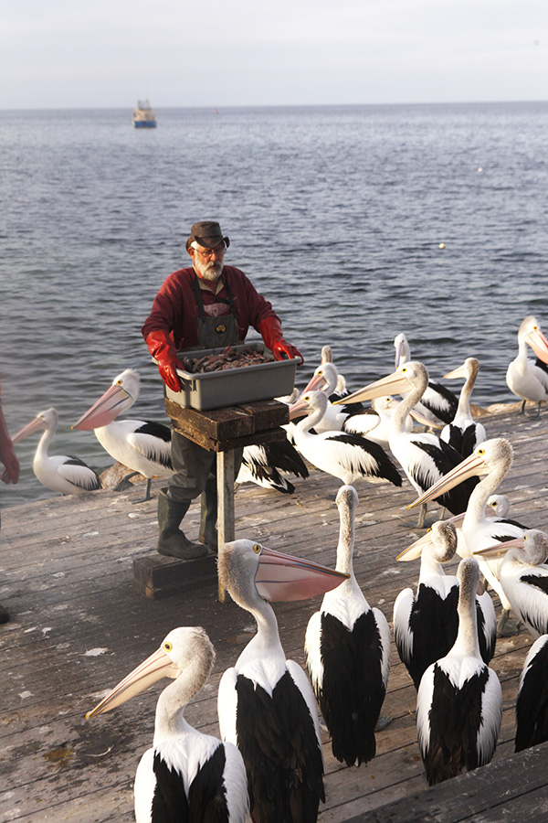 近似乌托邦的南澳乐园