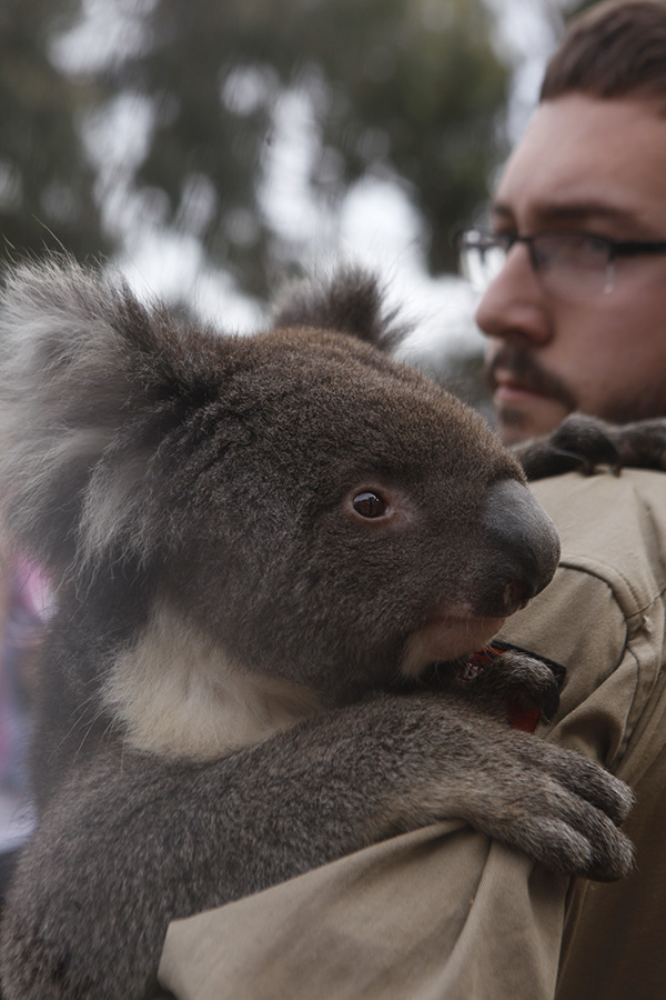 近似乌托邦的南澳乐园