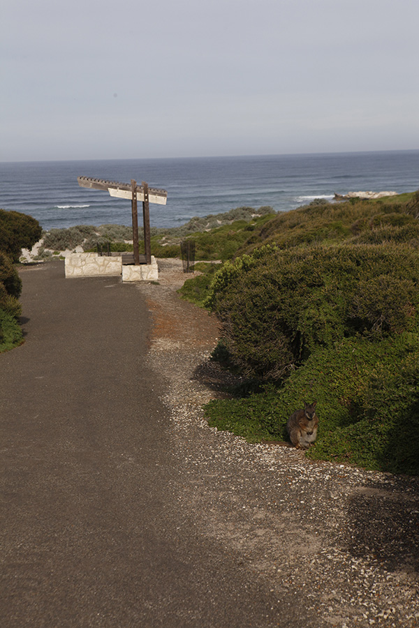 近似乌托邦的南澳乐园