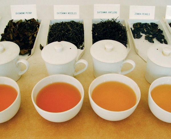 马拉维，非洲温暖之心