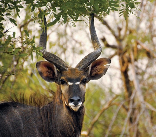 马拉维，非洲温暖之心