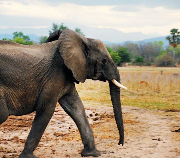 马拉维，非洲温暖之心