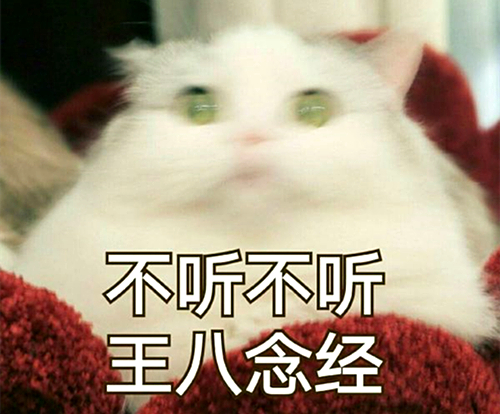 澎湃联播｜一句话形容女德演讲：嘴里有辆火车在高速逆行