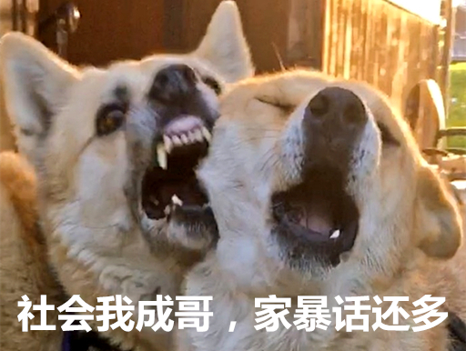 澎湃联播｜一句话形容女德演讲：嘴里有辆火车在高速逆行