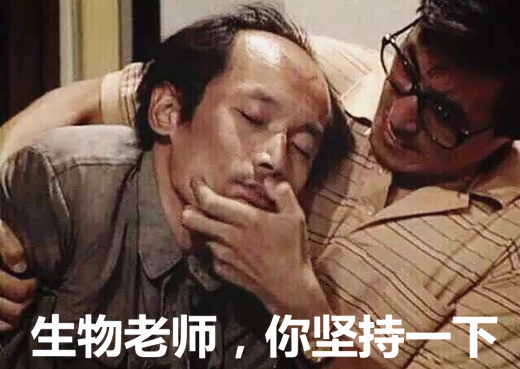 澎湃联播｜一句话形容女德演讲：嘴里有辆火车在高速逆行