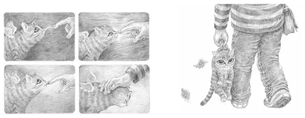 图画书推广人宋珮：无字书该怎样讲给孩子听