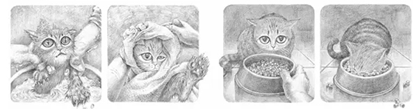 图画书推广人宋珮：无字书该怎样讲给孩子听