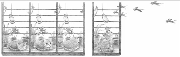 图画书推广人宋珮：无字书该怎样讲给孩子听