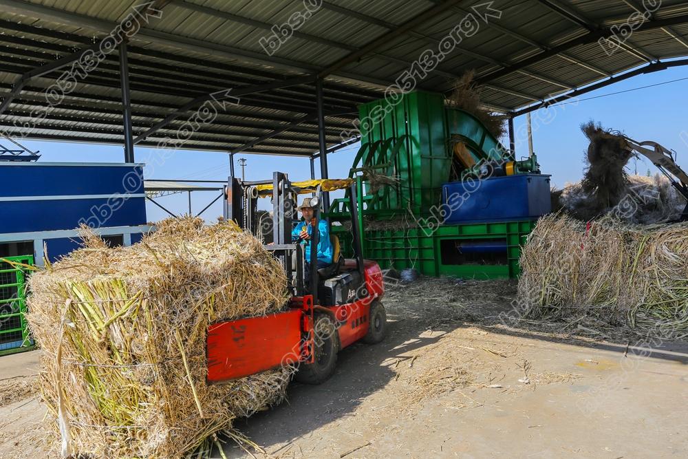 海门乡村秸秆回收废变宝 (1).jpg