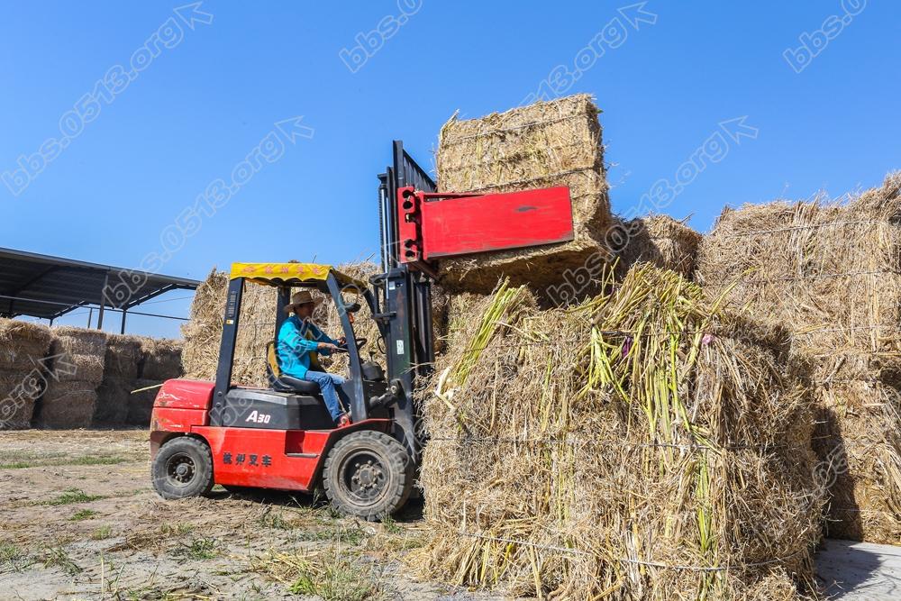 海门乡村秸秆回收废变宝 (3).jpg
