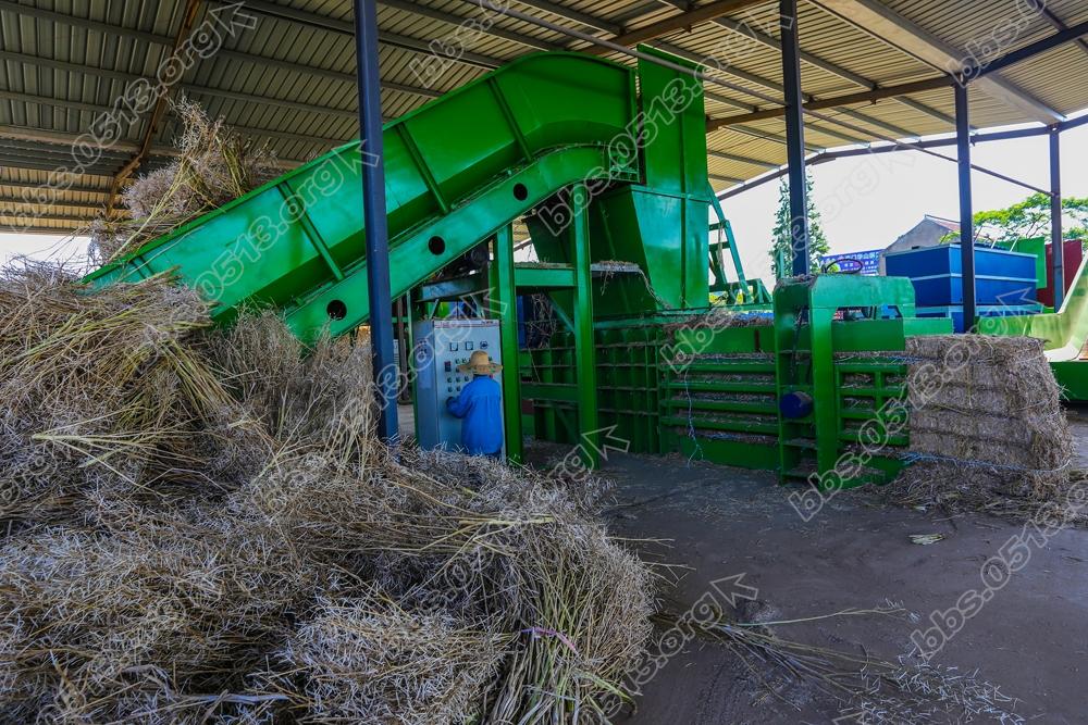 海门乡村秸秆回收废变宝 (4).jpg
