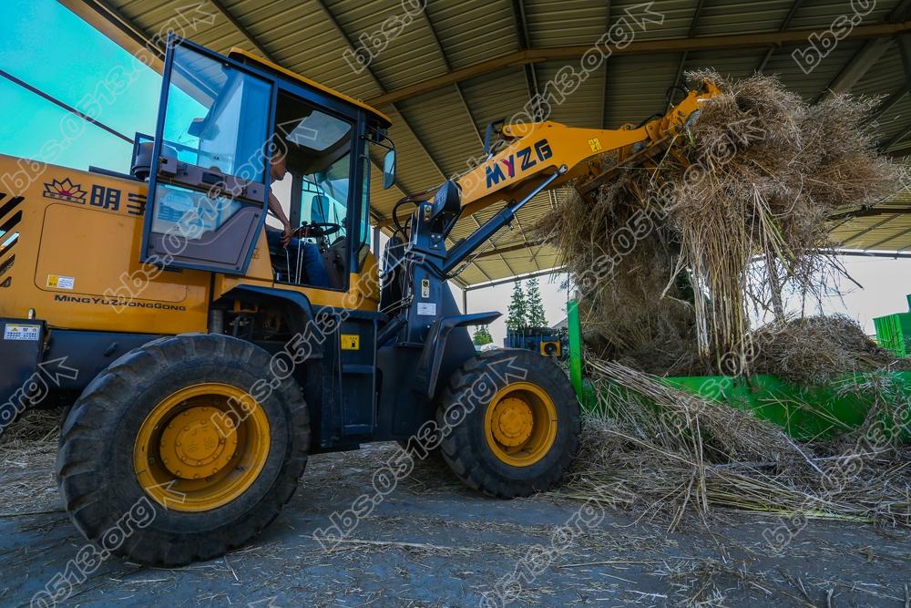 海门乡村秸秆回收废变宝 (5).jpg