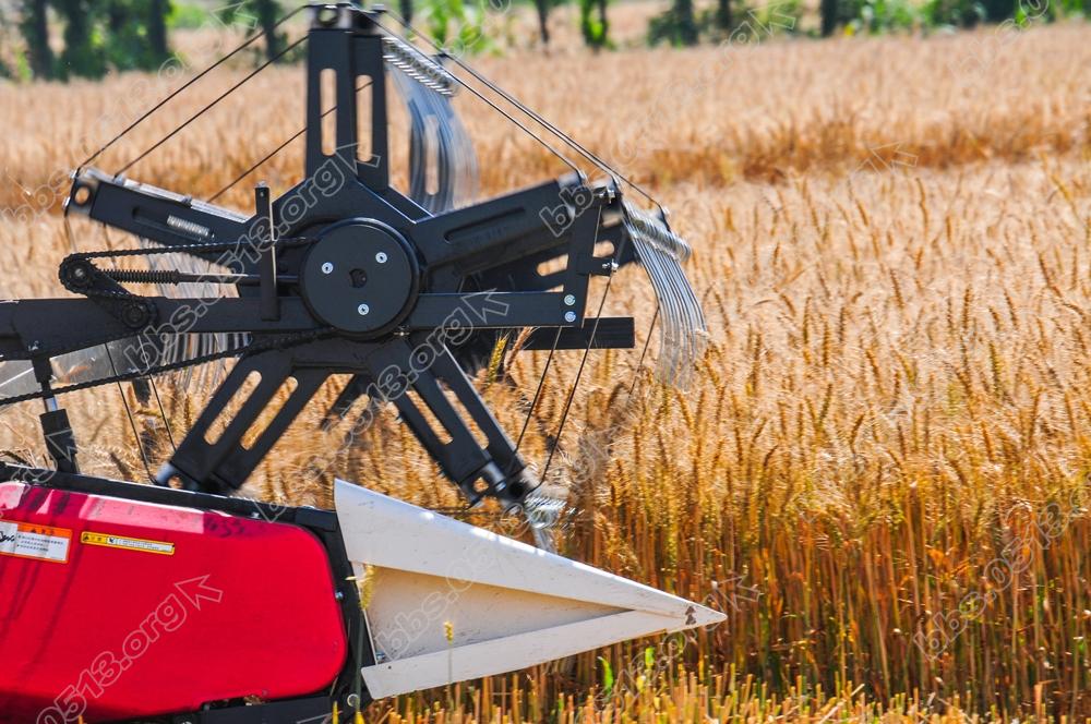海门江心沙农场万亩夏收夏种掀高潮 (3).jpg