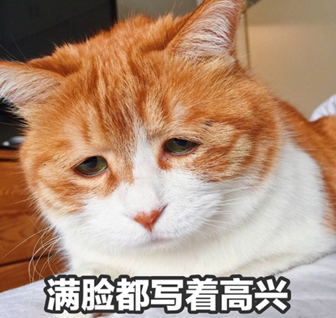 澎湃联播｜孩子没有英文名就交不到朋友？so**what！