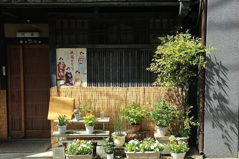 宁静温馨的格调，一切都充满了阳光的味道