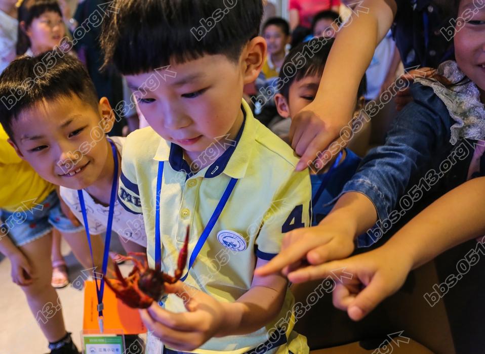 小记者识龙虾    钱伟章摄 (8).jpg