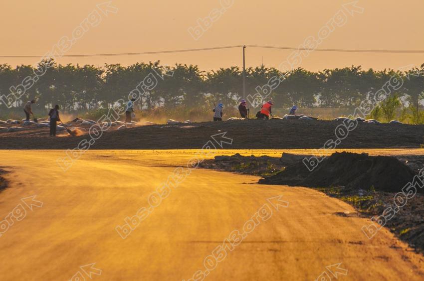 如东大豫着打造东湖滨海景观带 (3).jpg