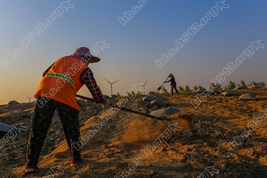如东大豫着打造东湖滨海景观带 (6).jpg
