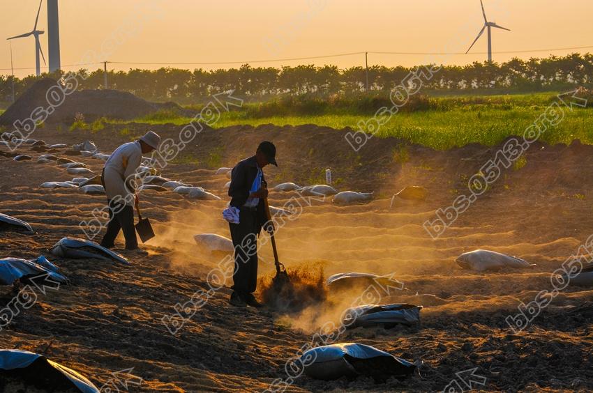 如东大豫着打造东湖滨海景观带 (8).jpg