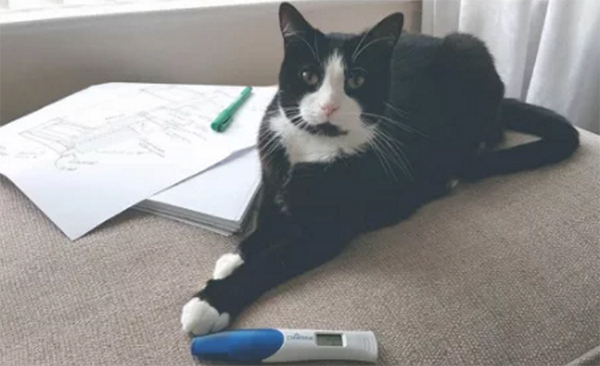 怀孕咯！我们收集了朋友圈点赞最多的那些炫耀创意