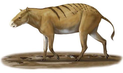 老司机如何“开车”：马车系法的演进史