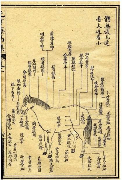 老司机如何“开车”：马车系法的演进史