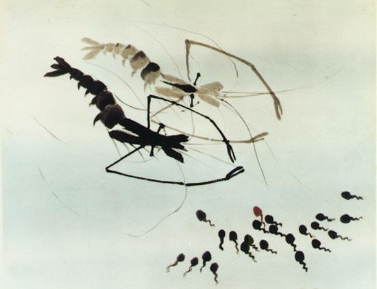 这些动画不仅是我们的童年，还是中国动画的美学高峰