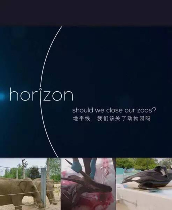 不能过“六一”的大朋友们，我们一起看纪录片