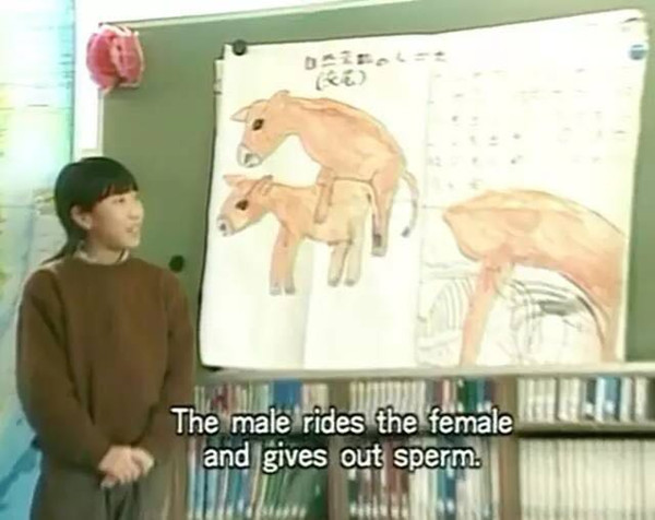 不能过“六一”的大朋友们，我们一起看纪录片