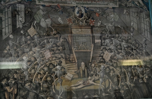 彼得大帝的畸形人博物馆：俄国神学与科学交锋的战场