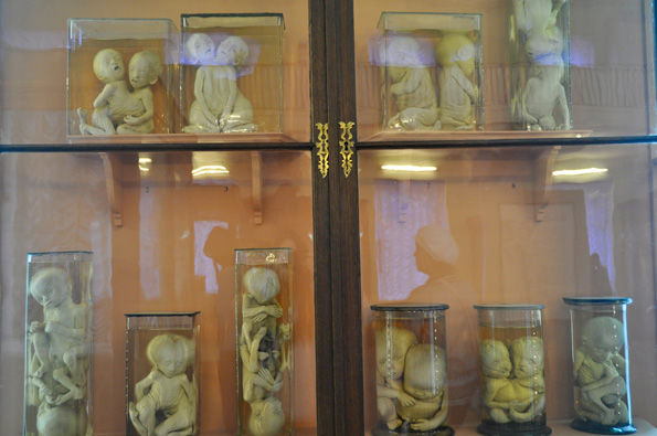 彼得大帝的畸形人博物馆：俄国神学与科学交锋的战场