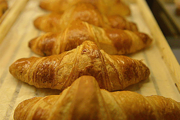 剩点儿饭也能影响气候？可不！造一条面包就等于开了3公里的车