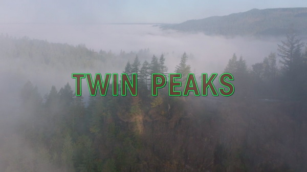 TING闻｜时隔26年，大卫·林奇的《双峰》再次让我抓狂