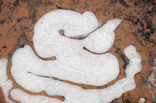 西部片的现实图景 | 犹他南部篇