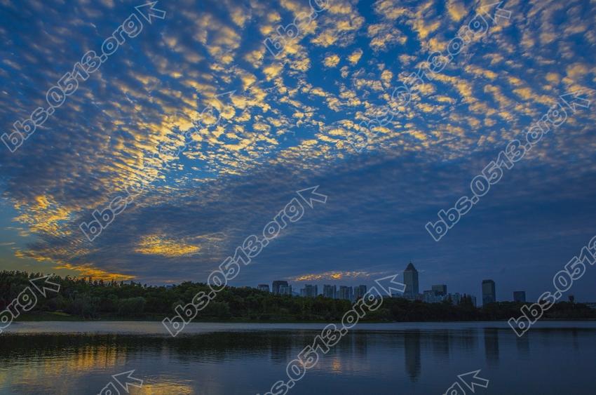 南通 出现美丽鱼鳞云 (1).jpg