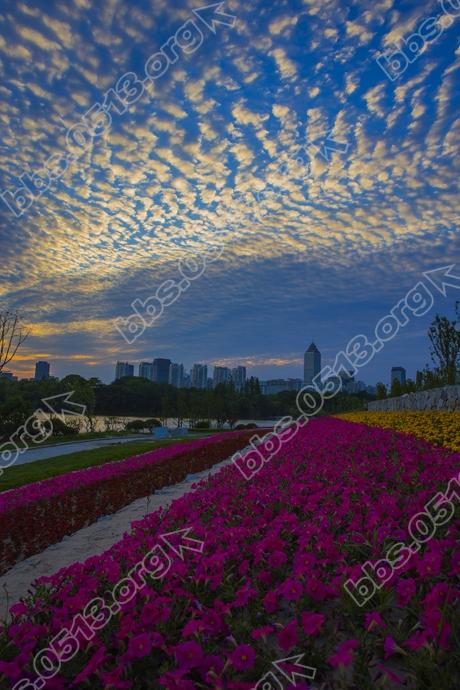 南通 出现美丽鱼鳞云 (2).jpg