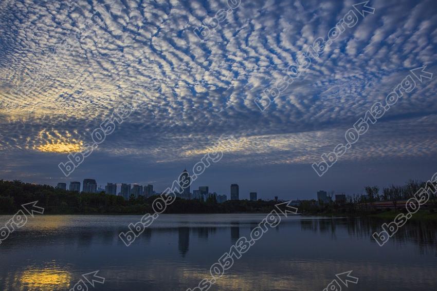 南通 出现美丽鱼鳞云 (3).jpg