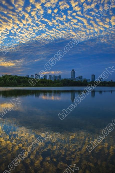 南通 出现美丽鱼鳞云 (4).jpg