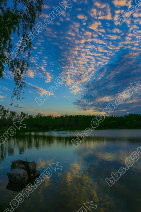 南通 出现美丽鱼鳞云 (5).jpg