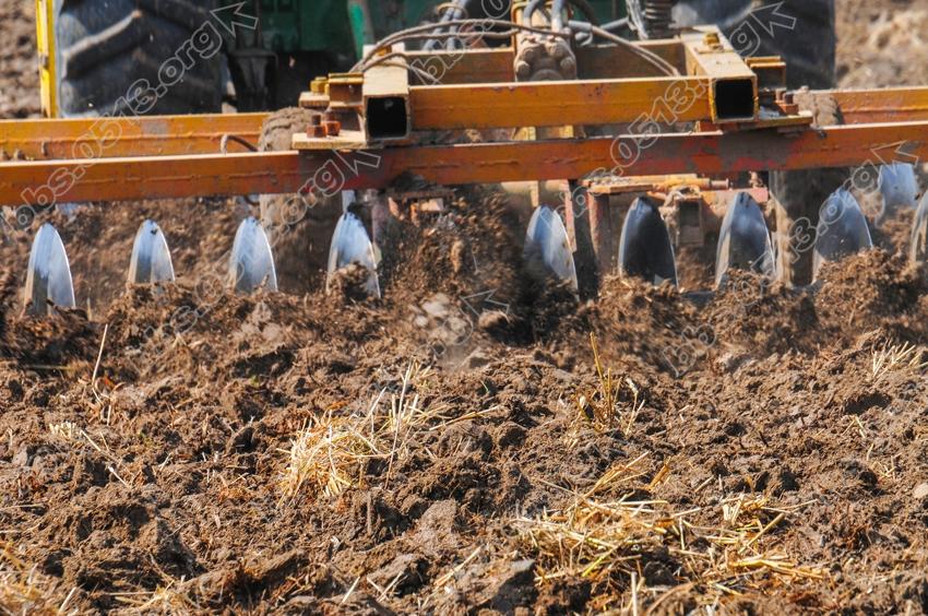 南通农场忙农事 (4).jpg