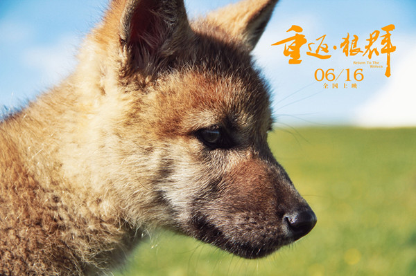 纪录电影《重返·狼群》：中国版的“格林童话”