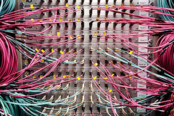 国际思想周报｜特朗普的流氓美国，大数据时代如何拆穿胡扯