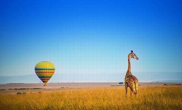 什么样的旅游算“高端旅游”，这份调查报告也许能给点提示