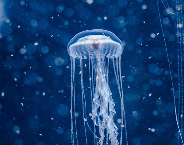 走着瞧 | “看不见的城市”，罗马最大地下墓穴重新开放